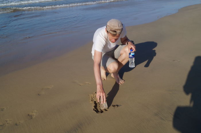 Puerto Villamil Beach Saving Octopus