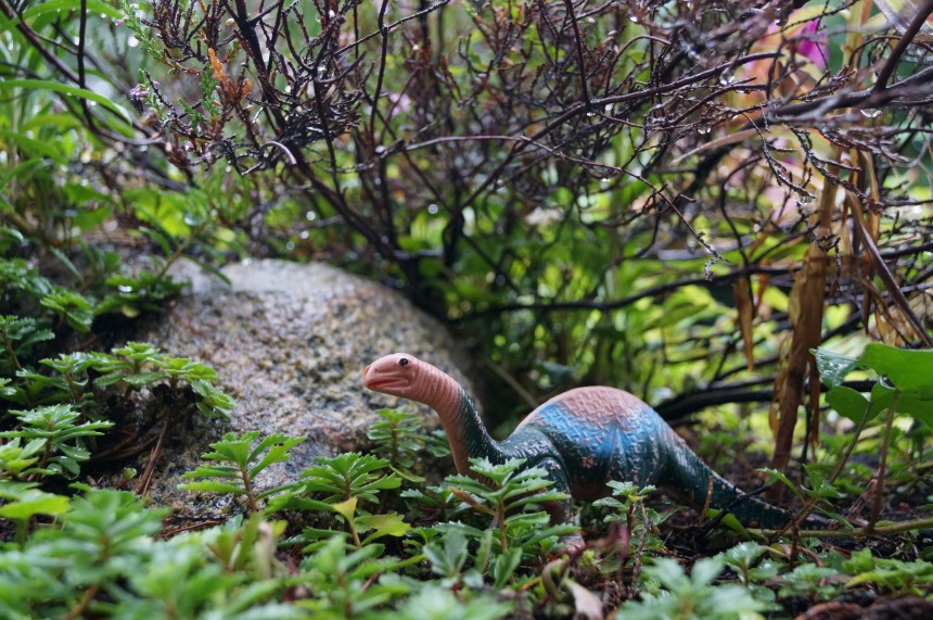 Dinosaurs Photo Series Kristian Laban