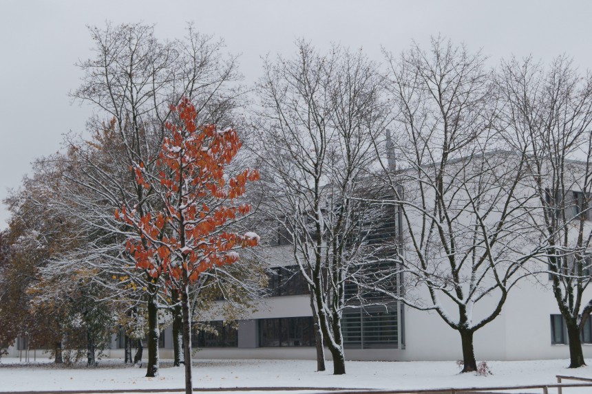 Winter In Autumn Photo Series Kristian Laban