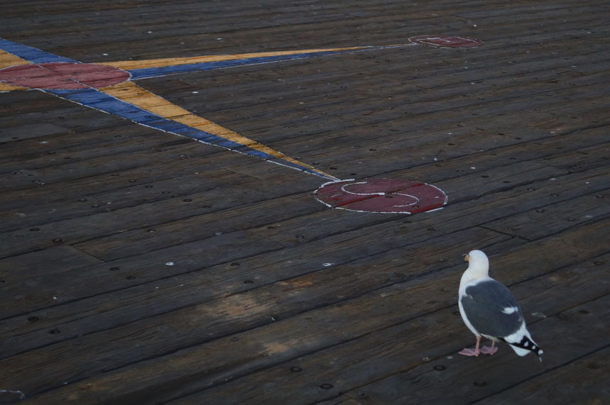 Scrapbook Seagull with signpost Santa BarbaraKristian Laban