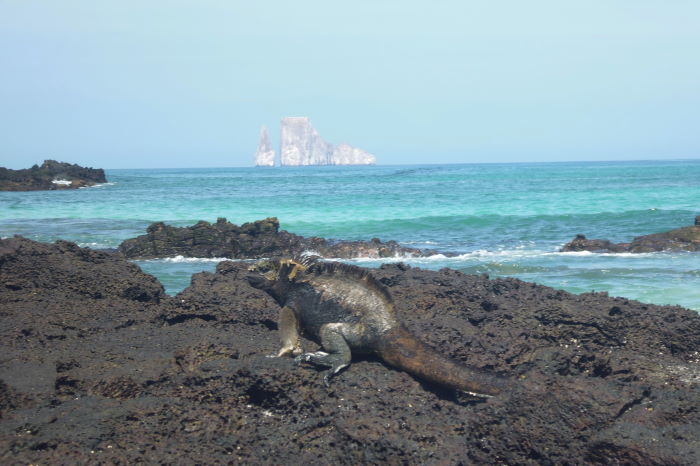 Galápagos Crucero Cerro Bruja Playa Iguana