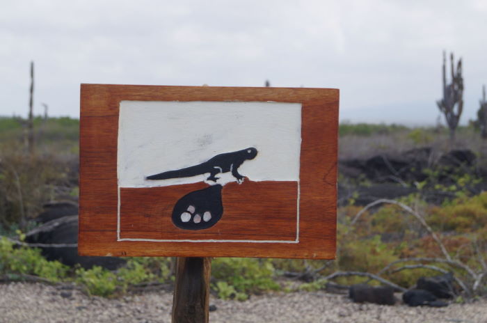 Galápagos Special Signpost