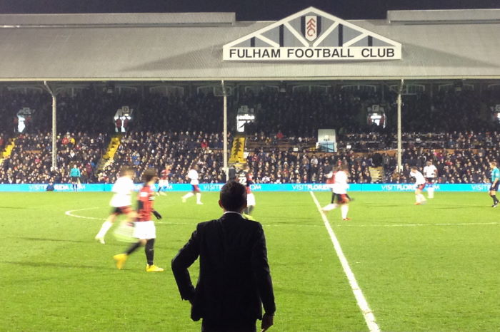 Fulham FC vs Brighton Hove Albion Nathan Jones
