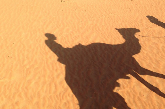 Oman Nomadic Desert Camp Camel Ride Shadow